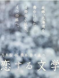 日劇：橋本奈奈未的戀愛文學 夏之旅 3D9