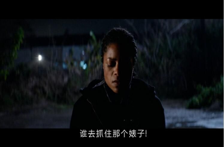 動作犯罪電影 藍與黑 原版DVD盒裝 英語DTS 中文字幕