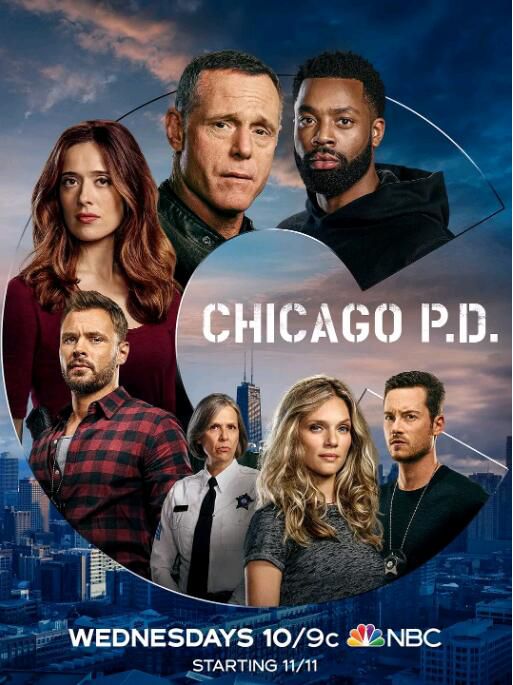 2020新美劇DVD：芝加哥警署 第八季/芝加哥警局 第8季 全16集 2碟