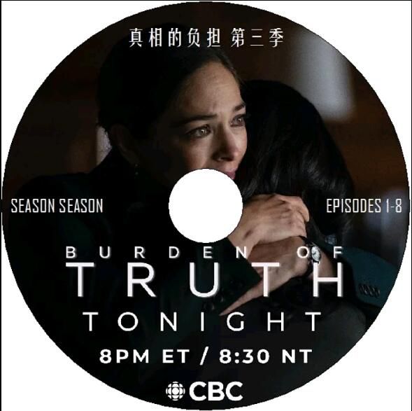 2020新加拿大懸疑劇DVD：真相的負擔 第三季 第3季 克莉斯汀·克魯克