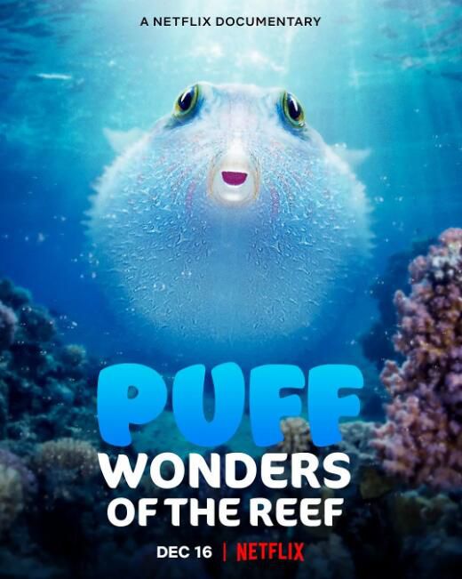 2021澳大利亞紀錄片《河豚之家：神奇的珊瑚礁》羅絲·伯恩 DVD 英語中字