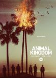野獸家族/動物王國/Animal Kingdom 第一季