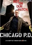 2017美劇 芝加哥警署/芝加哥警局 第五季 傑森·貝蓋 英語中字 4碟