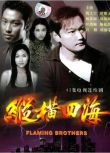 1999港劇 縱橫四海 陶大宇/楊恭如 國語中字 盒裝8碟