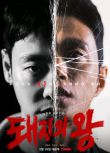 2022韓劇 豬玀之王 TV全集+電影版 金東旭/金成圭 高清盒裝4碟
