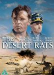 1953美國電影 沙漠之鼠 國語 二戰/沙漠戰/軍火庫/盟軍VS德國 DVD