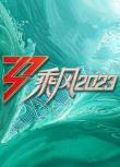 2023大陸劇 乘風2023/乘風破浪4 陳嘉樺/劉逸雲 9碟
