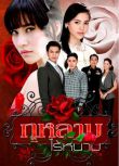 2010泰劇《無刺玫瑰/無刺的玫瑰》Rome&Yaya（13集完結）泰語中字 7碟