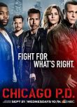 罪案劇DVD：芝加哥警署 1-6季/芝加哥警署 1-4季　高清17碟