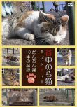 電影 谷中的流浪貓狂想曲 日本拍攝的貓咪紀錄片 DVD收藏版