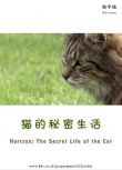 2013BBC高分紀錄片《貓的秘密生活/喵星人日記》.英語中字