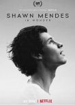 2020音樂紀錄片《肖恩·門德斯：一路走來/Shawn Mendes：真誠有共鳴》.英語中字