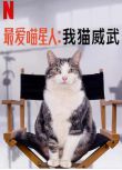 2021紀錄片《最愛喵星人：我貓威武》荷蘭語.中文字幕