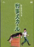 經典日劇DVD：警犬卡爾 1-11集【木之內綠】中文字幕+日語發音3碟