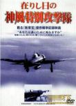 太平洋戰爭之神風特別攻擊隊/入侵萊特島 二戰/空戰/ DVD