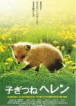 日本經典感人電影 子狐物語/生命奇跡小狐貍 DVD收藏版
